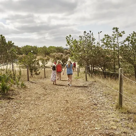 Apartment Rez-de-chaussee Renove Avec Jardin Clos, A 1,6 Km De La Plage, Ideal Pour 2 Adultes Et 2 Enfants - Fr-1-364-142 *