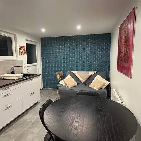 Appartamento Rez-de-chaussée Rénové Avec Jardin Clos, à 1,6 Km De La Plage, Idéal Pour 2 Adultes Et 2 Enfants - Fr-1-364-142 Saint-Brévin-les-Pins